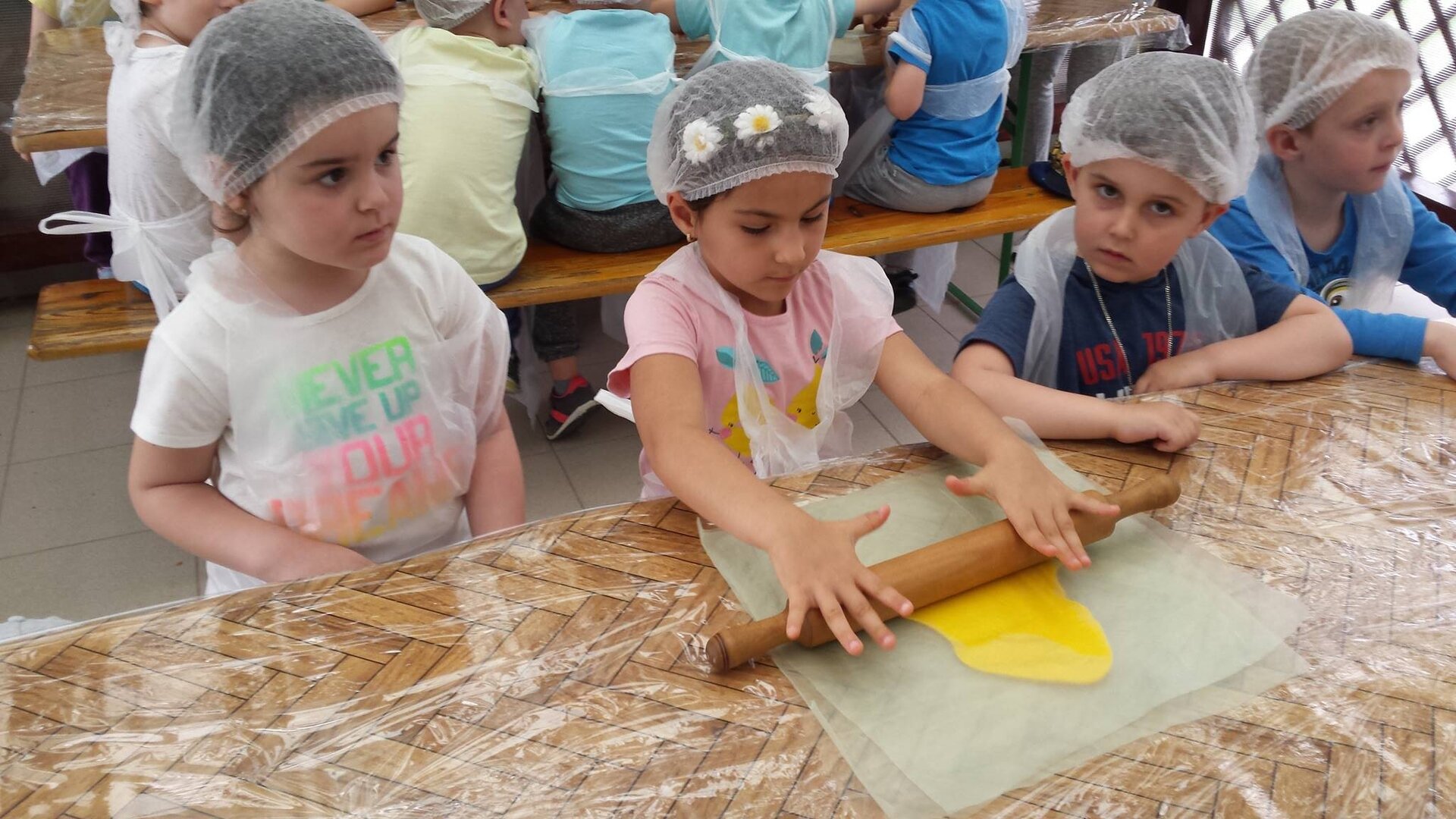 Image for Galerie foto